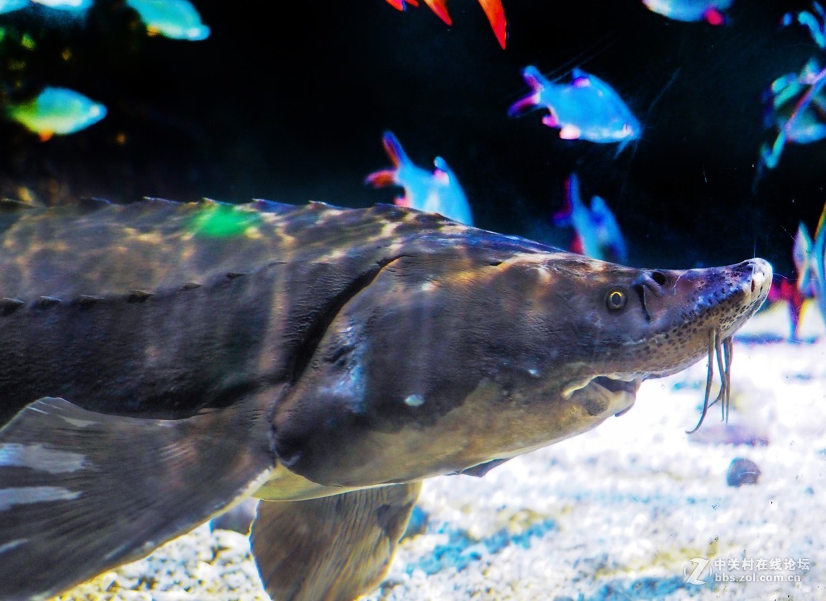 太平洋海底世界