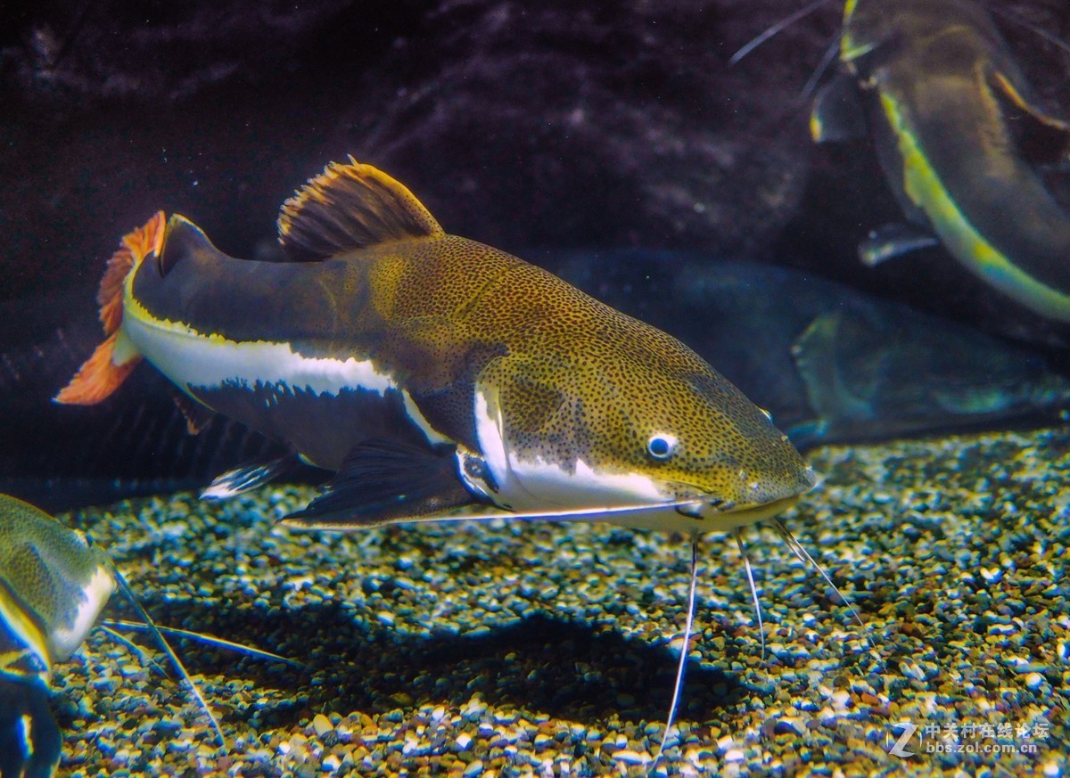 太平洋海底世界