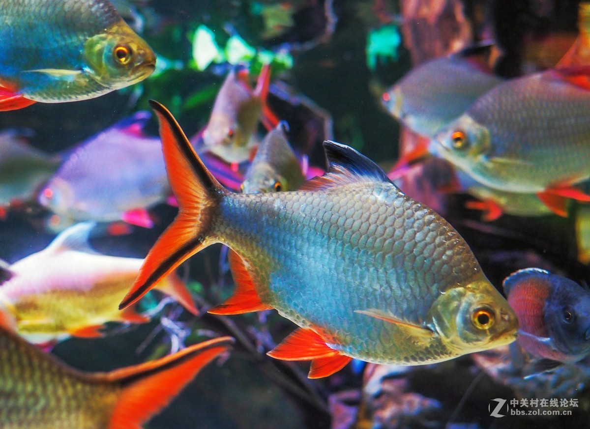 太平洋海底世界