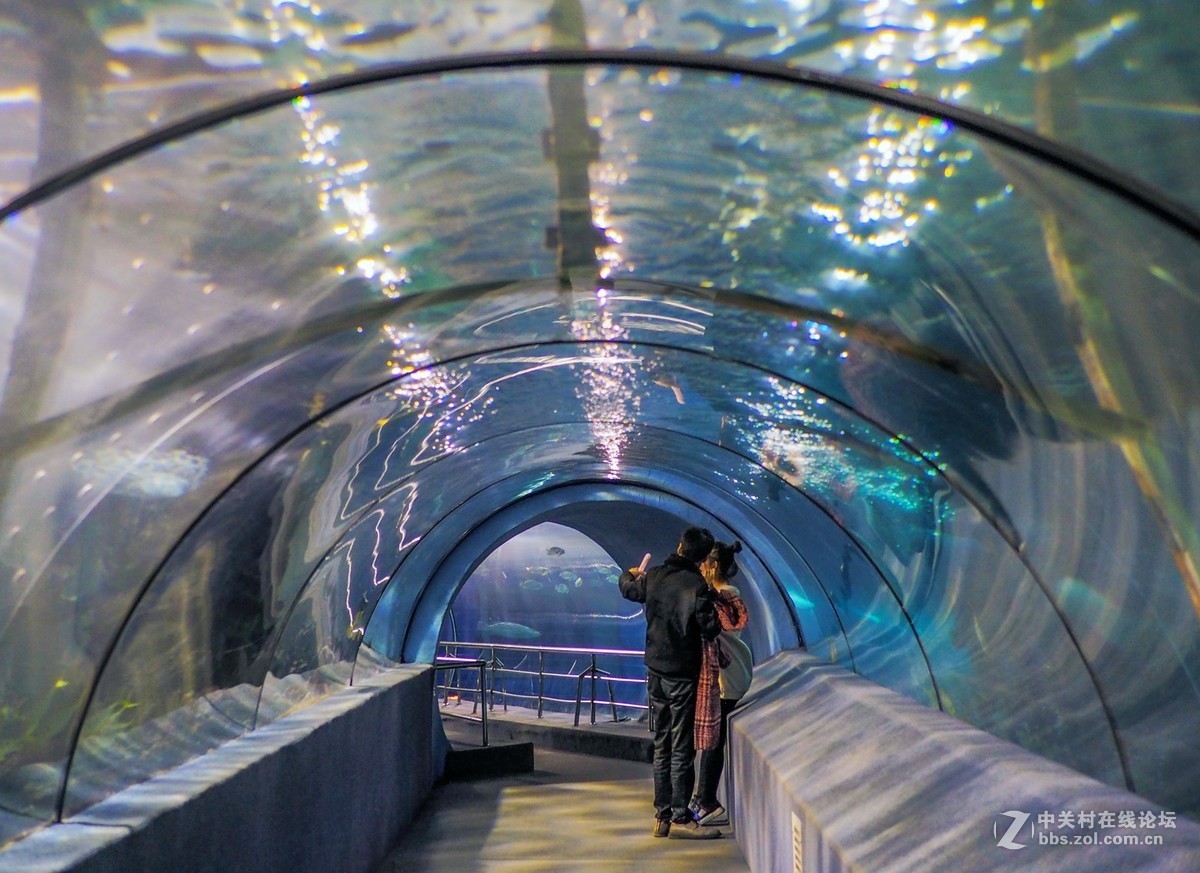 太平洋海底世界