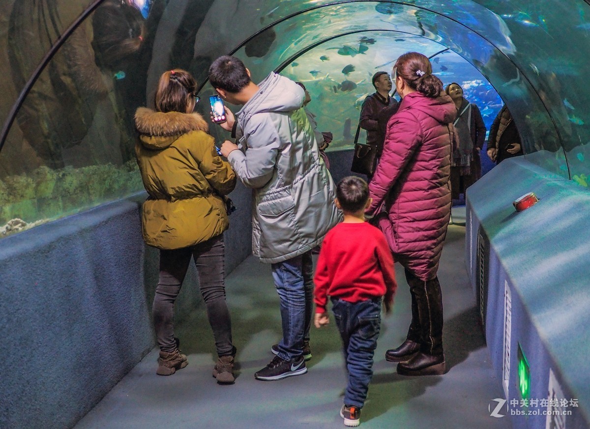 太平洋海底世界