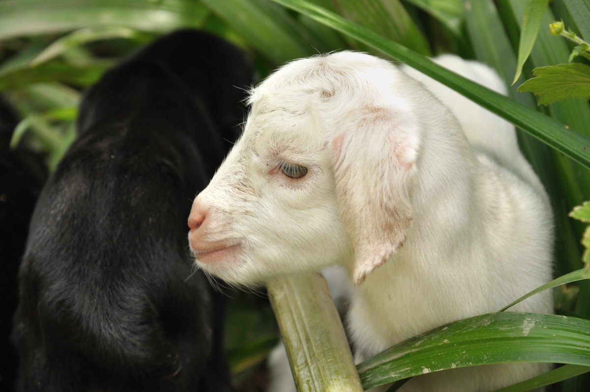 彭水石盘乡避暑拍的片片