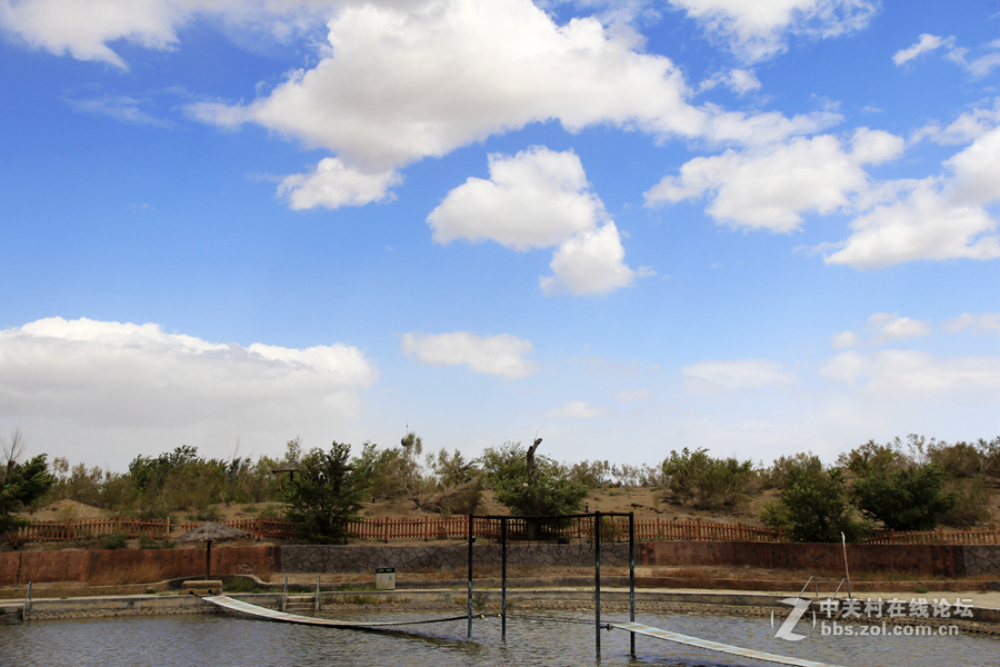 駝鈴夢坡沙漠公園位於新疆準噶爾盆地古爾班通古特沙漠南緣