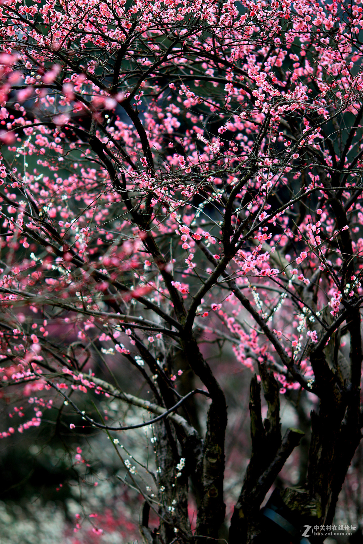 7d兔子拍人也不错～～～～～～～