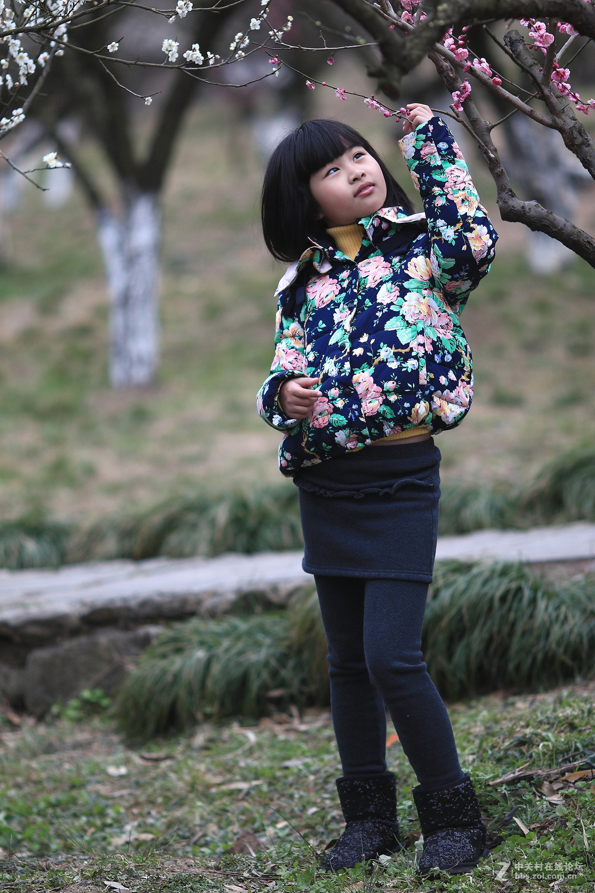 7d兔子拍人也不错～～～～～～～