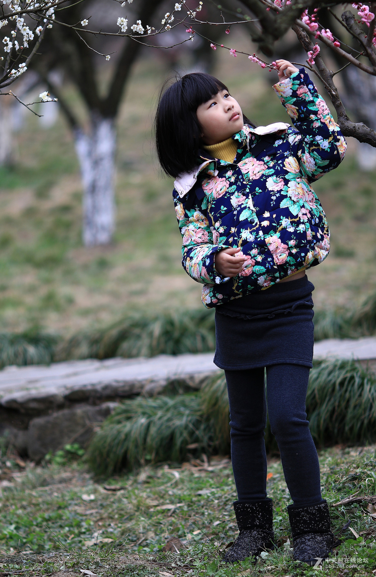 7d兔子拍人也不错～～～～～～～