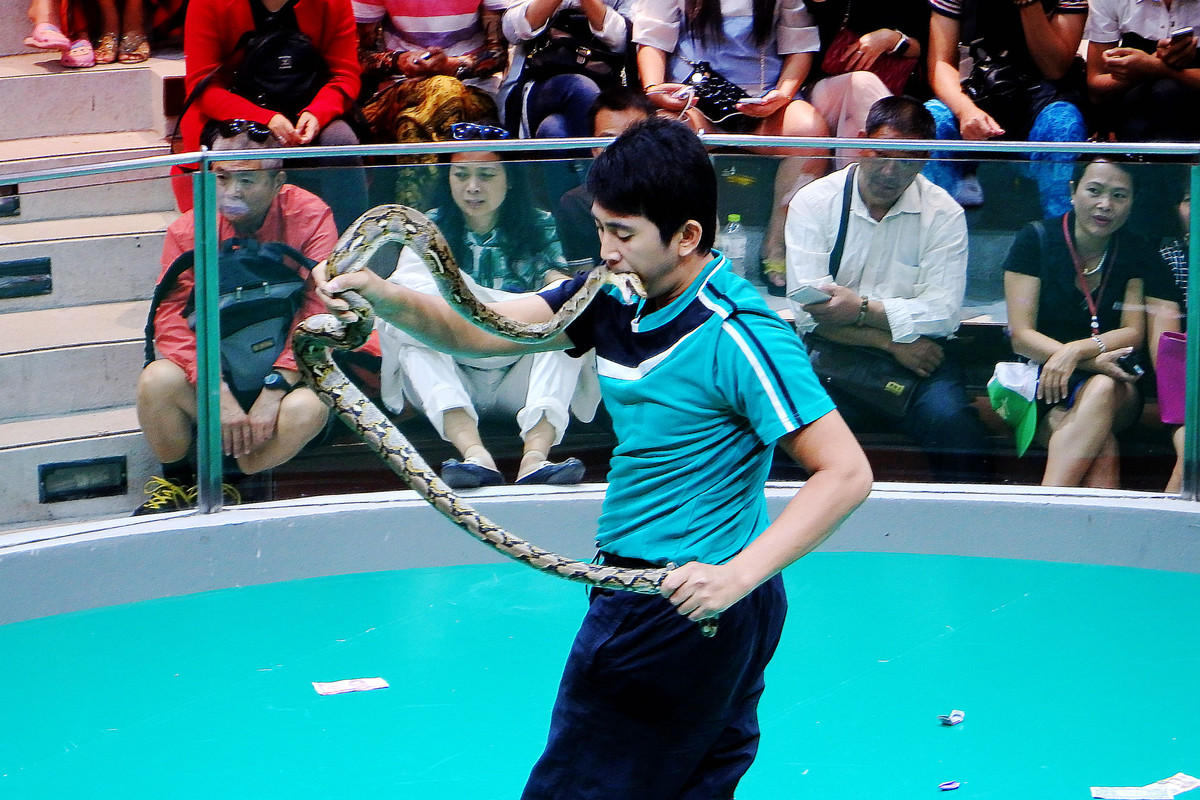 『泰国蛇毒研究所』123...20P-中关村在线摄影论坛