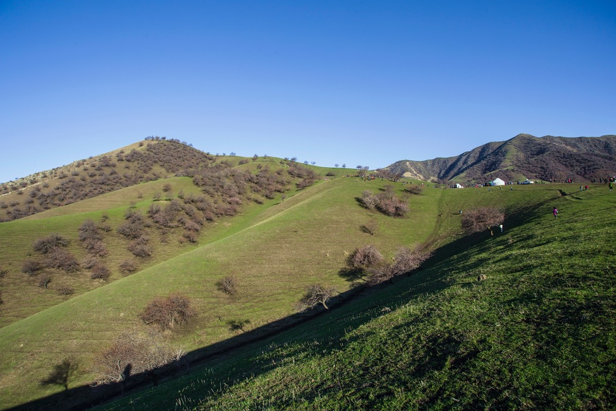 新源杏花沟（四）