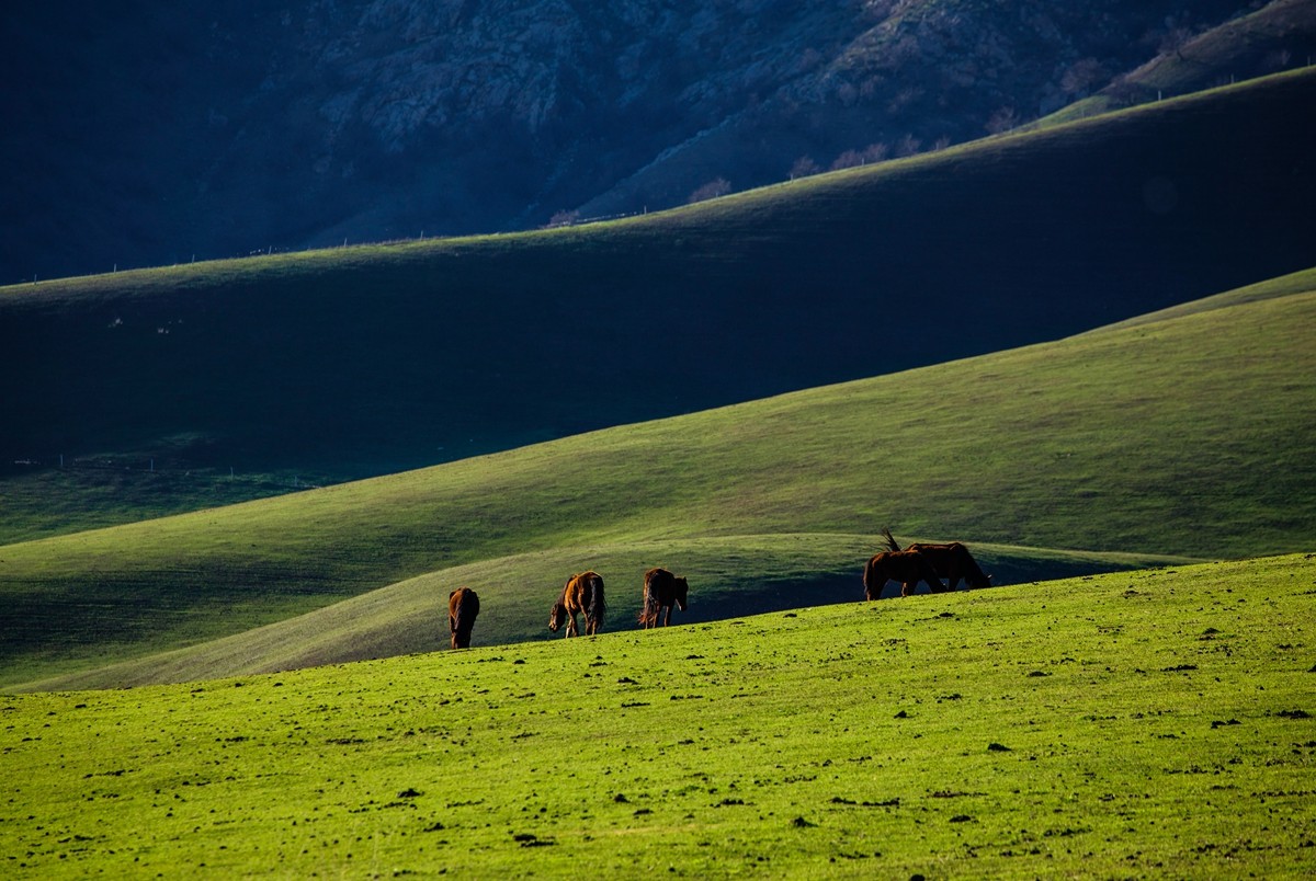 新源杏花沟（四）