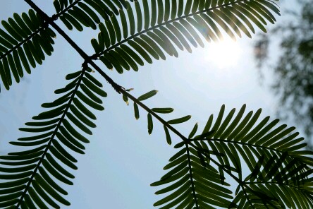 富士XA2试拍上图，各位多指导