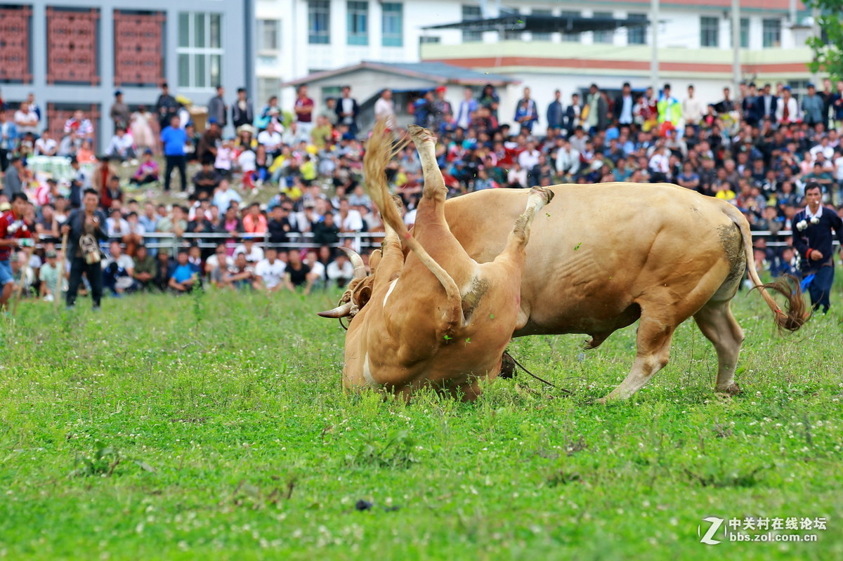 #版主坐堂# 《人文纪实星空(中国)》2016年7月优秀作品选编