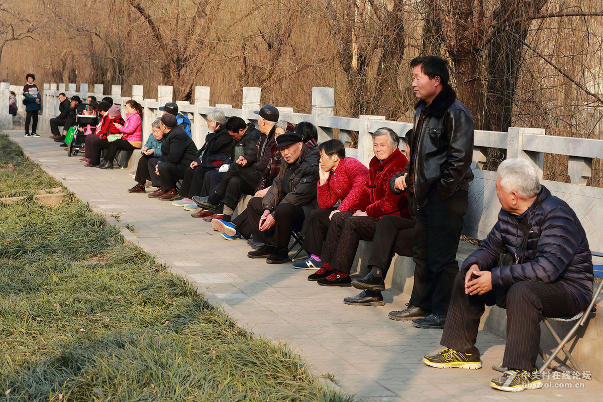 公园里看节目的人们