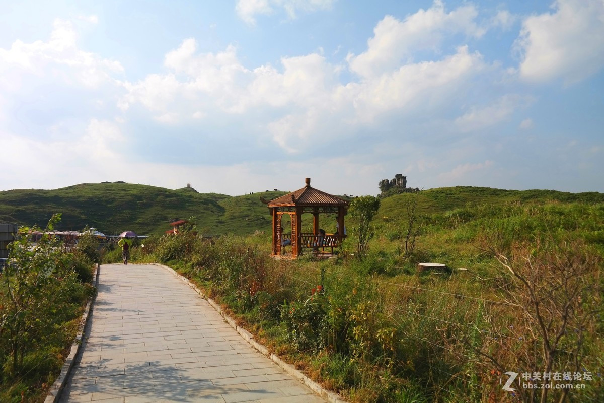 贵州百里杜鹃休闲避暑所见狂拍（四）