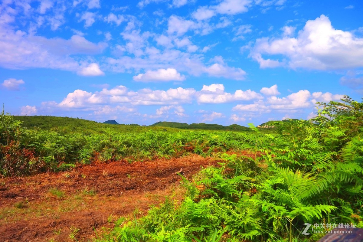 贵州百里杜鹃休闲避暑所见狂拍（四）