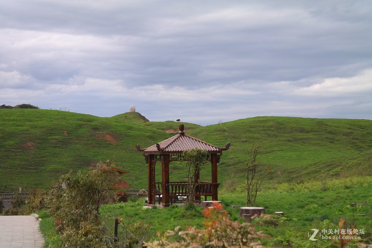 贵州百里杜鹃休闲避暑所见狂拍（四）