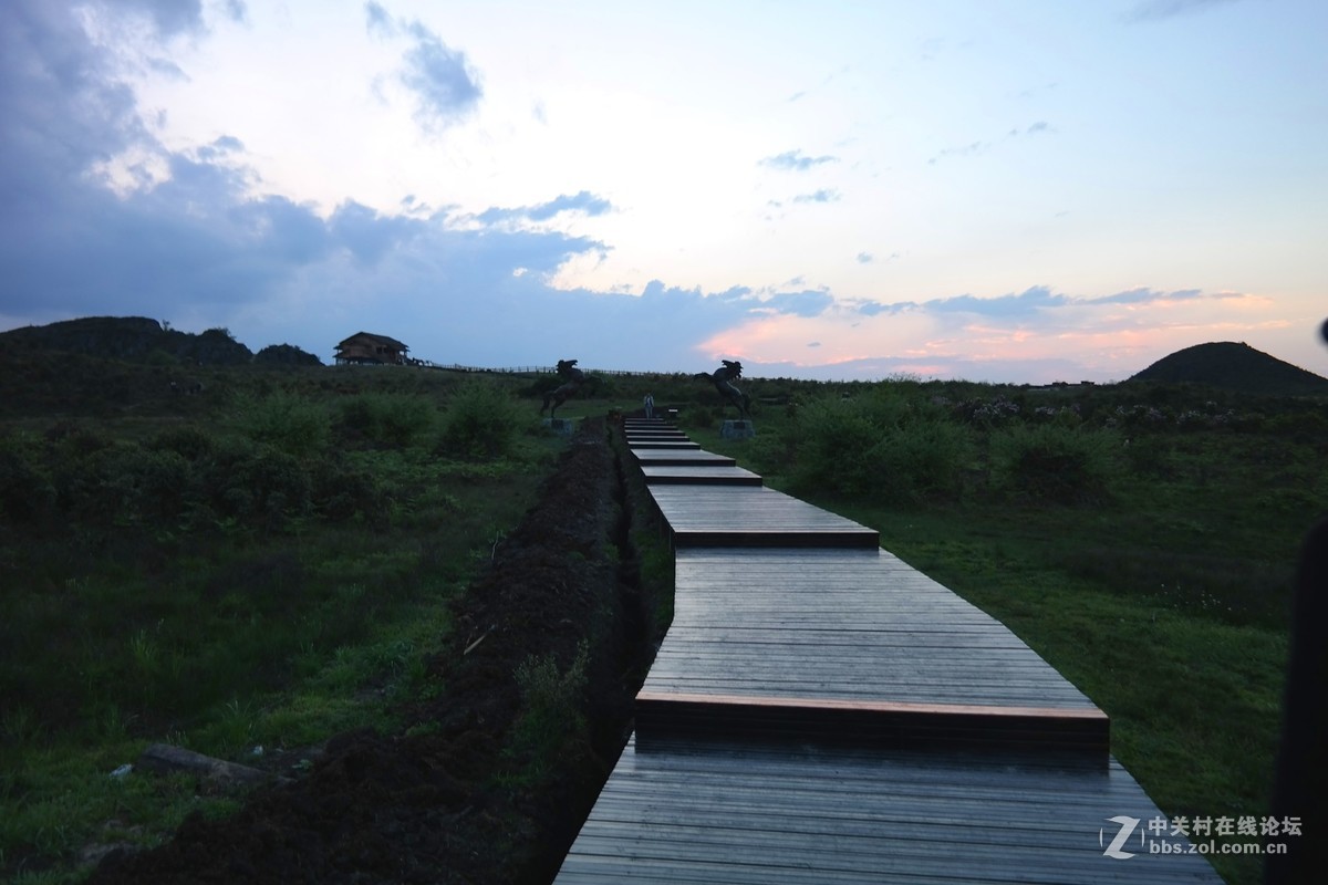 贵州百里杜鹃休闲避暑所见狂拍（四）