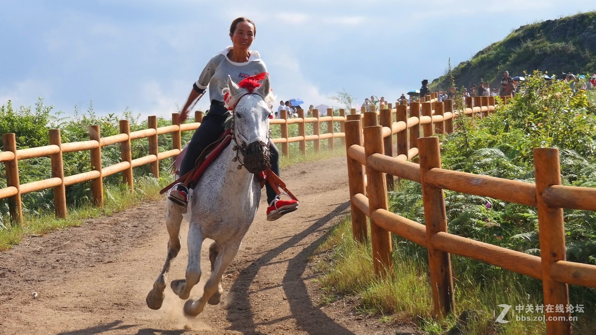 贵州百里杜鹃休闲避暑所见狂拍（四）