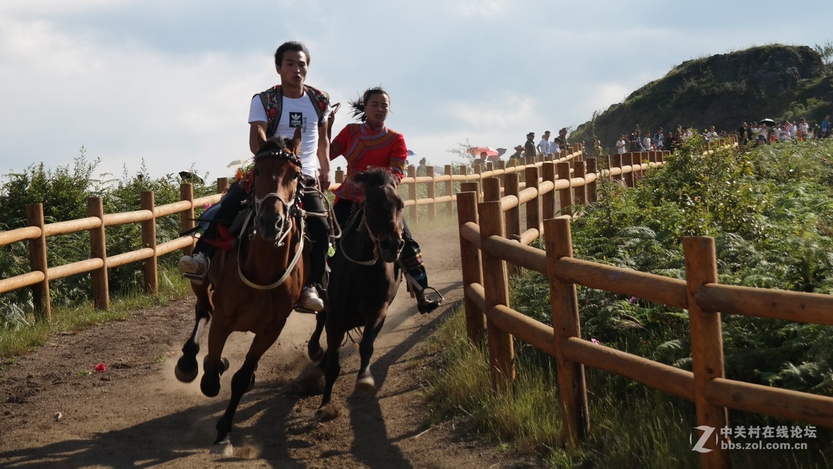 贵州百里杜鹃休闲避暑所见狂拍（四）