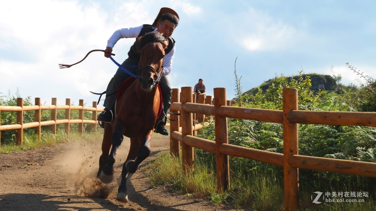 贵州百里杜鹃休闲避暑所见狂拍（四）