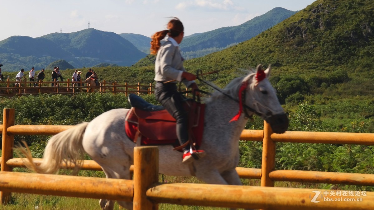 贵州百里杜鹃休闲避暑所见狂拍（四）