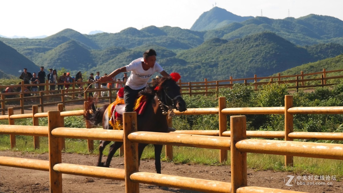 贵州百里杜鹃休闲避暑所见狂拍（四）