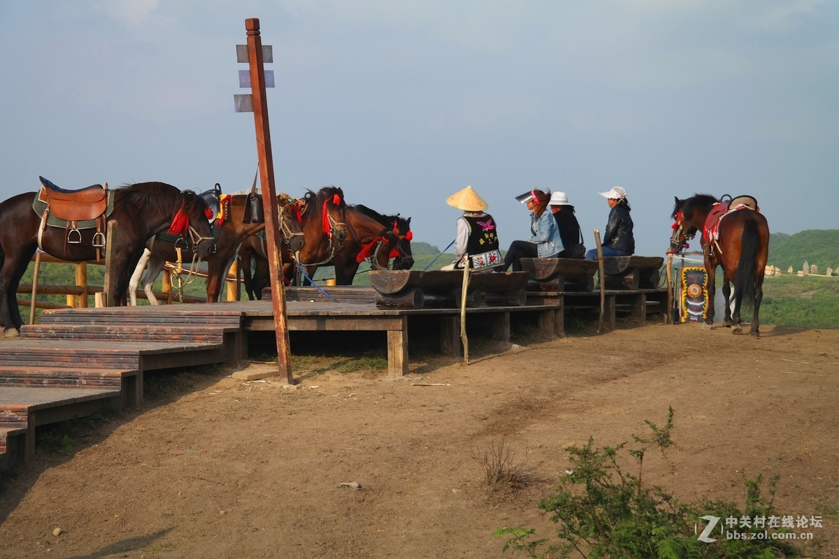 贵州百里杜鹃休闲避暑所见狂拍（四）