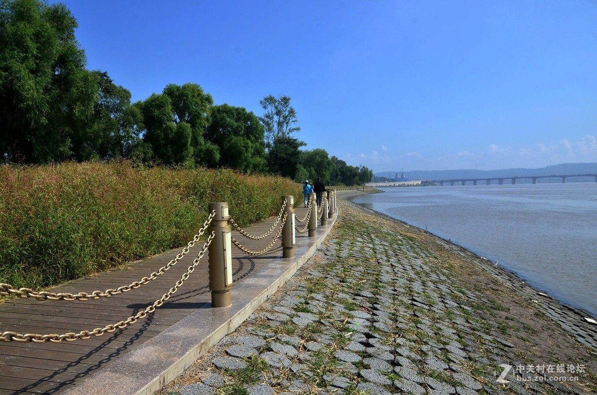 江滨公园江心岛随拍