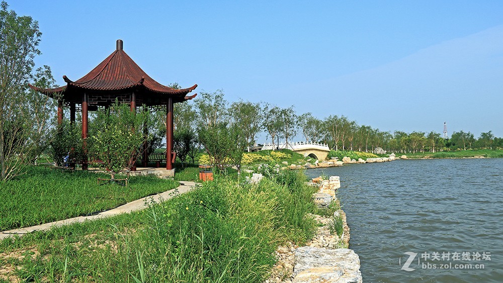 天津东丽湖公园图片