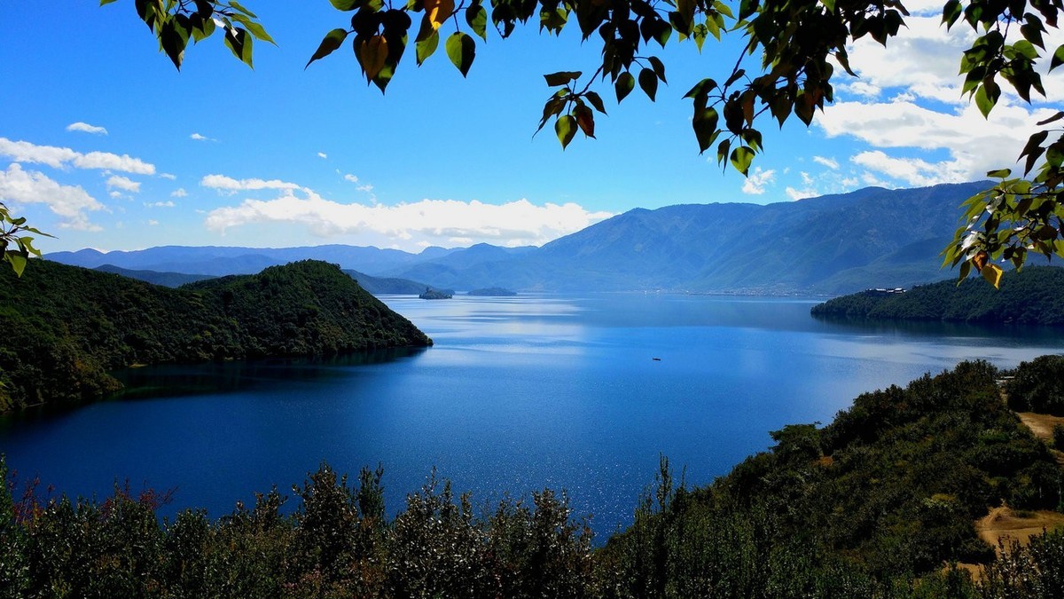 随拍【手机拍摄】