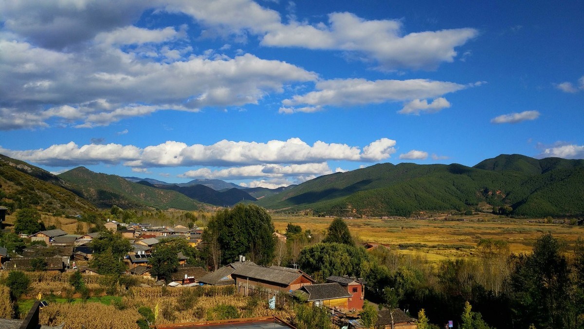 随拍【手机拍摄】