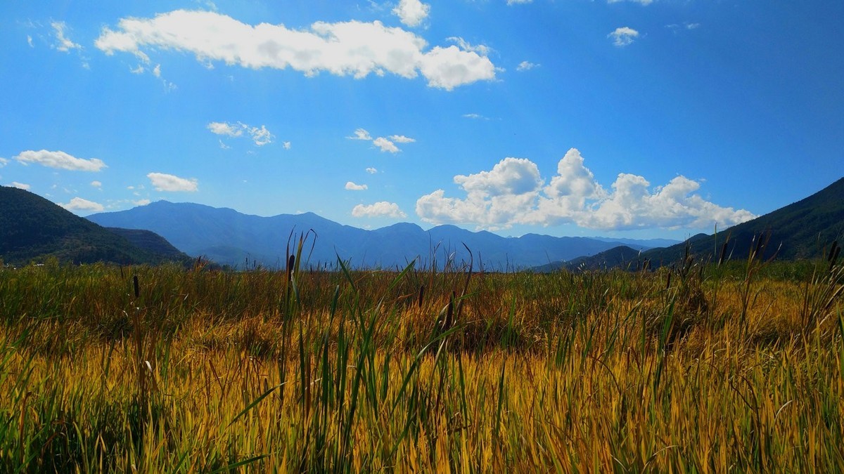 随拍【手机拍摄】