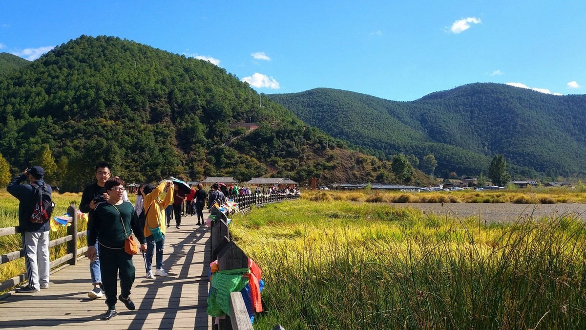 随拍【手机拍摄】