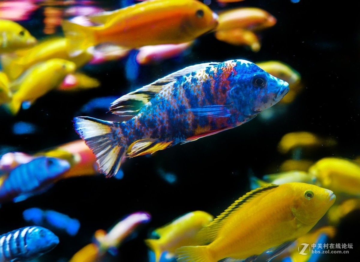 太平洋海底世界