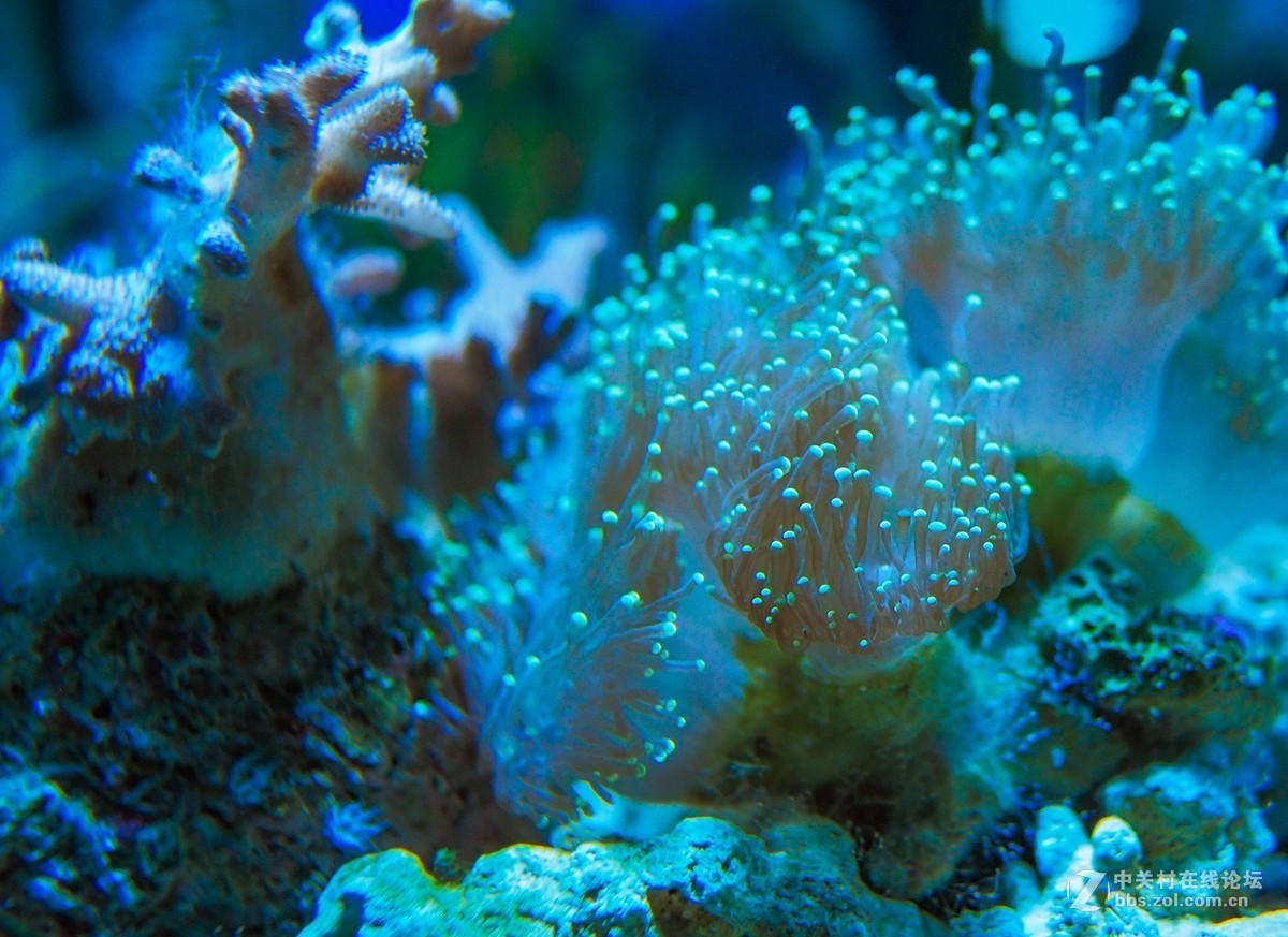 太平洋海底世界