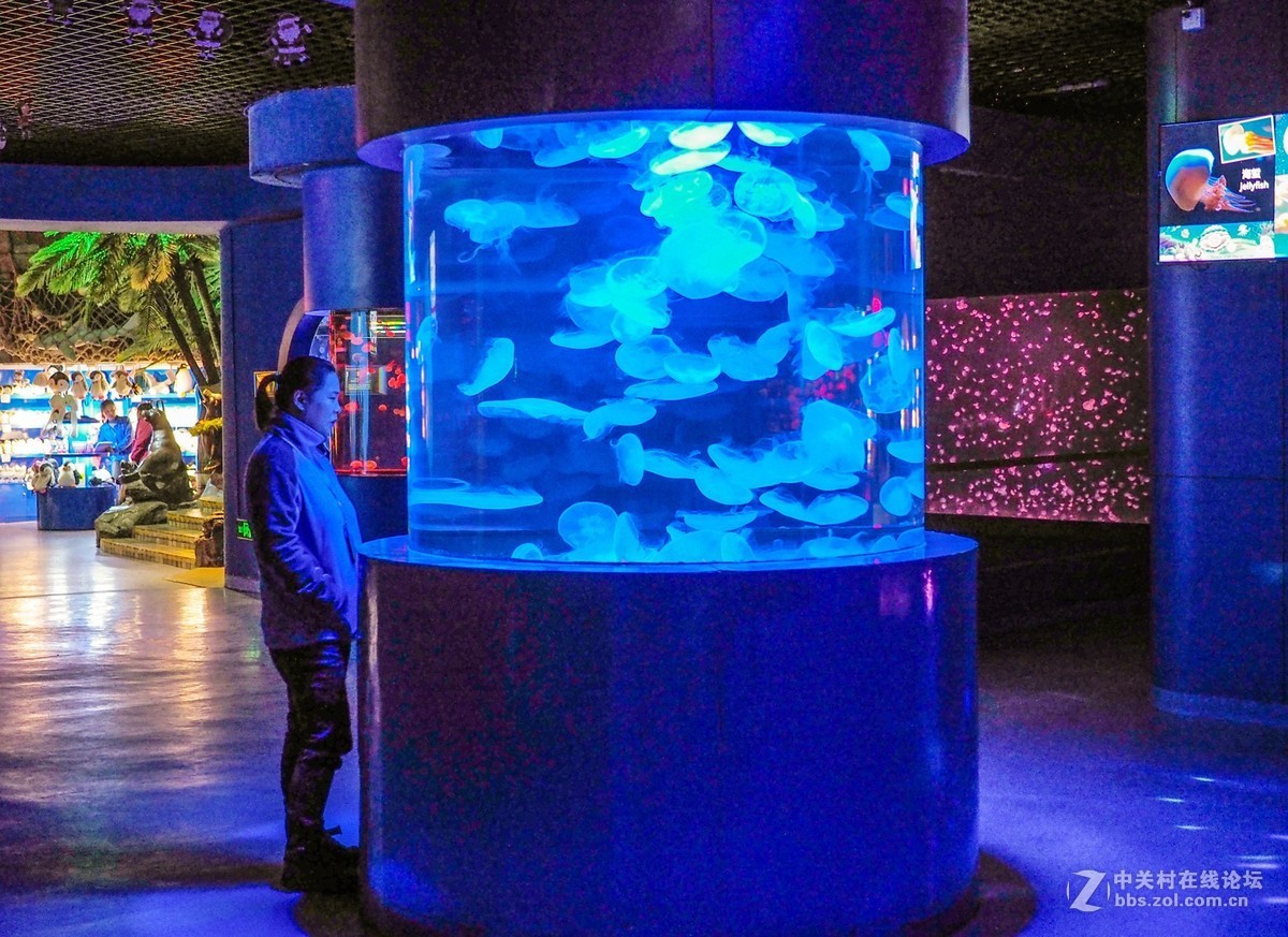 太平洋海底世界