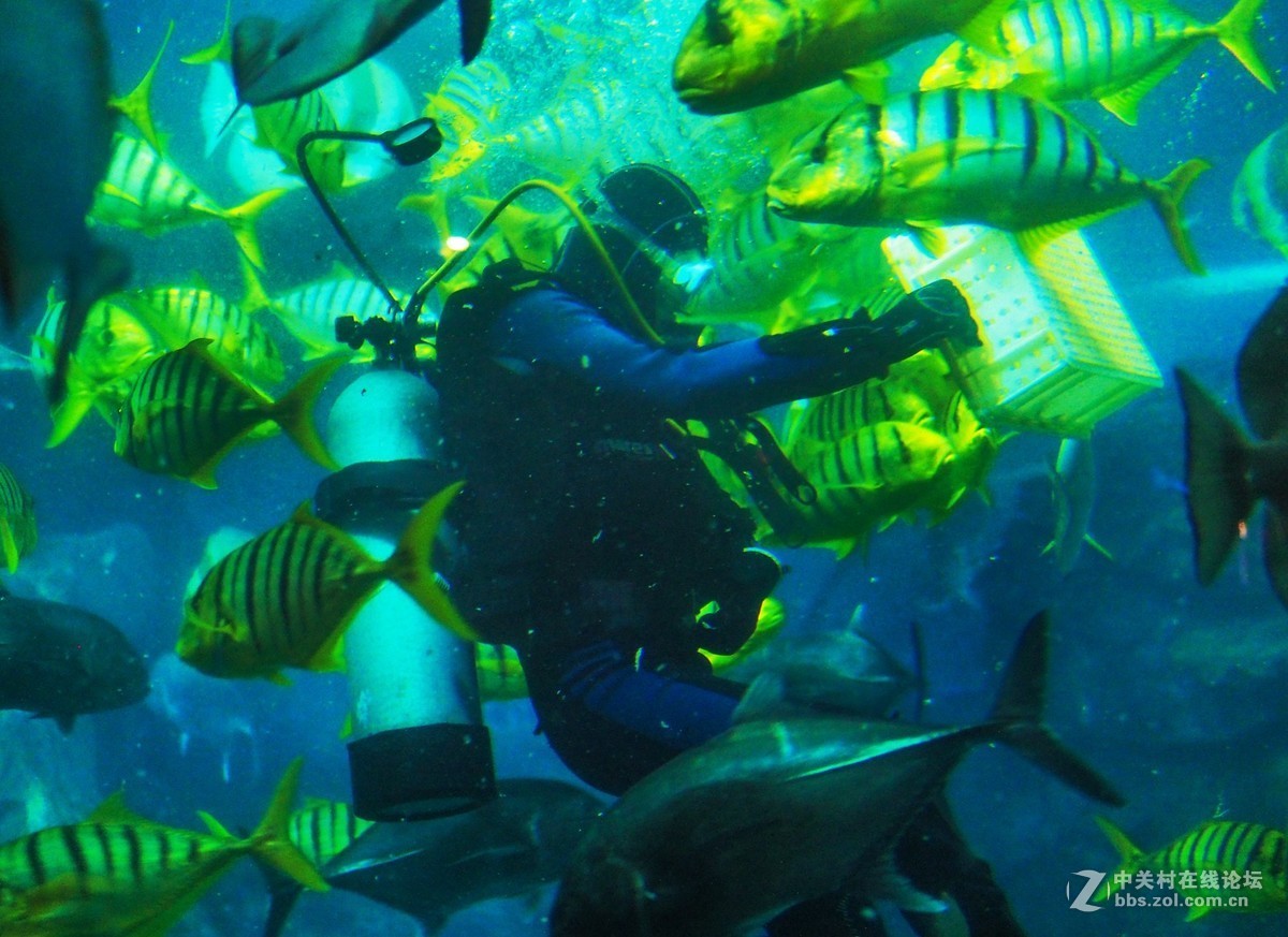 太平洋海底世界