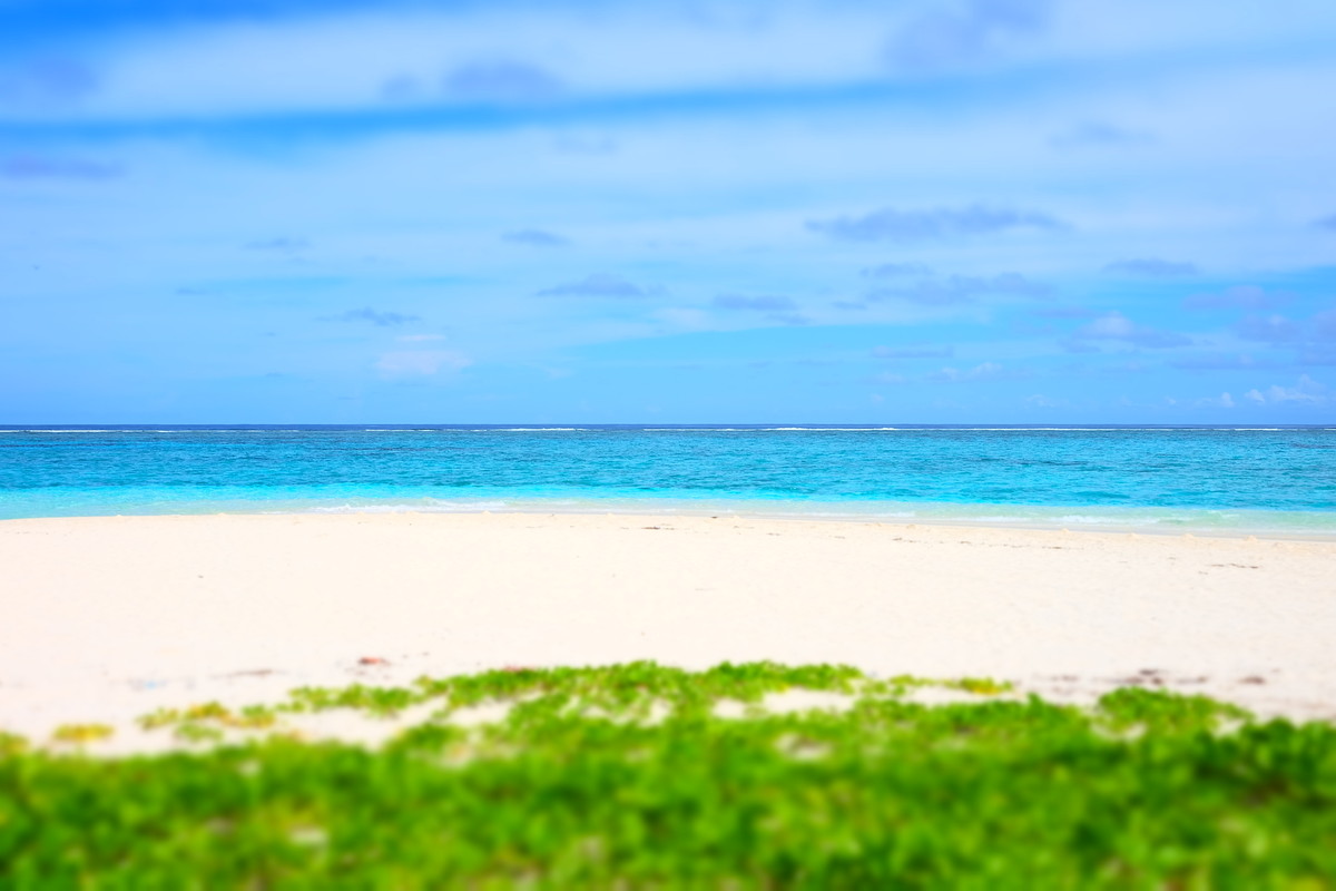 入手富士X-A2 选择了27mm定焦饼干头