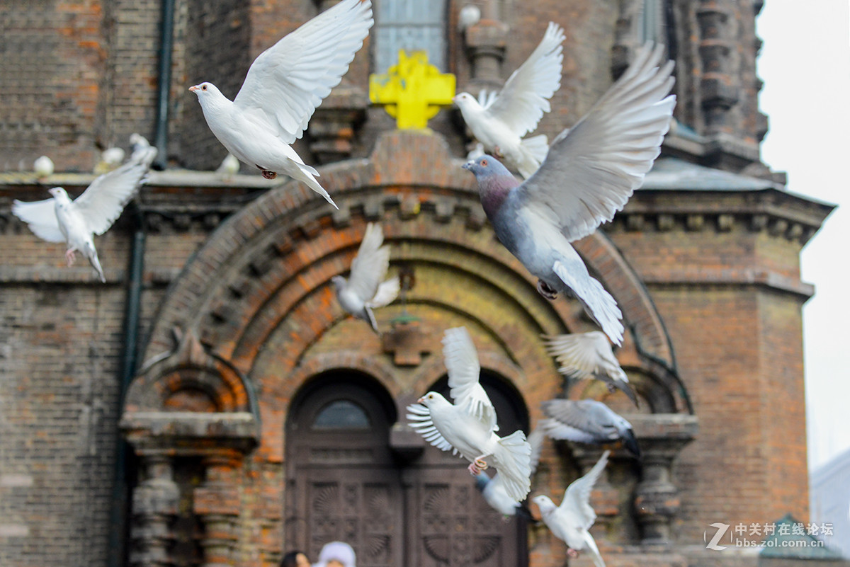 恭贺新年-元旦扫街