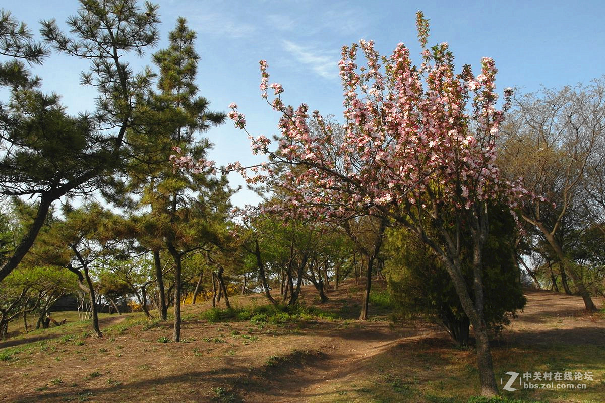 EX1-『春色惹人醉』123...12P