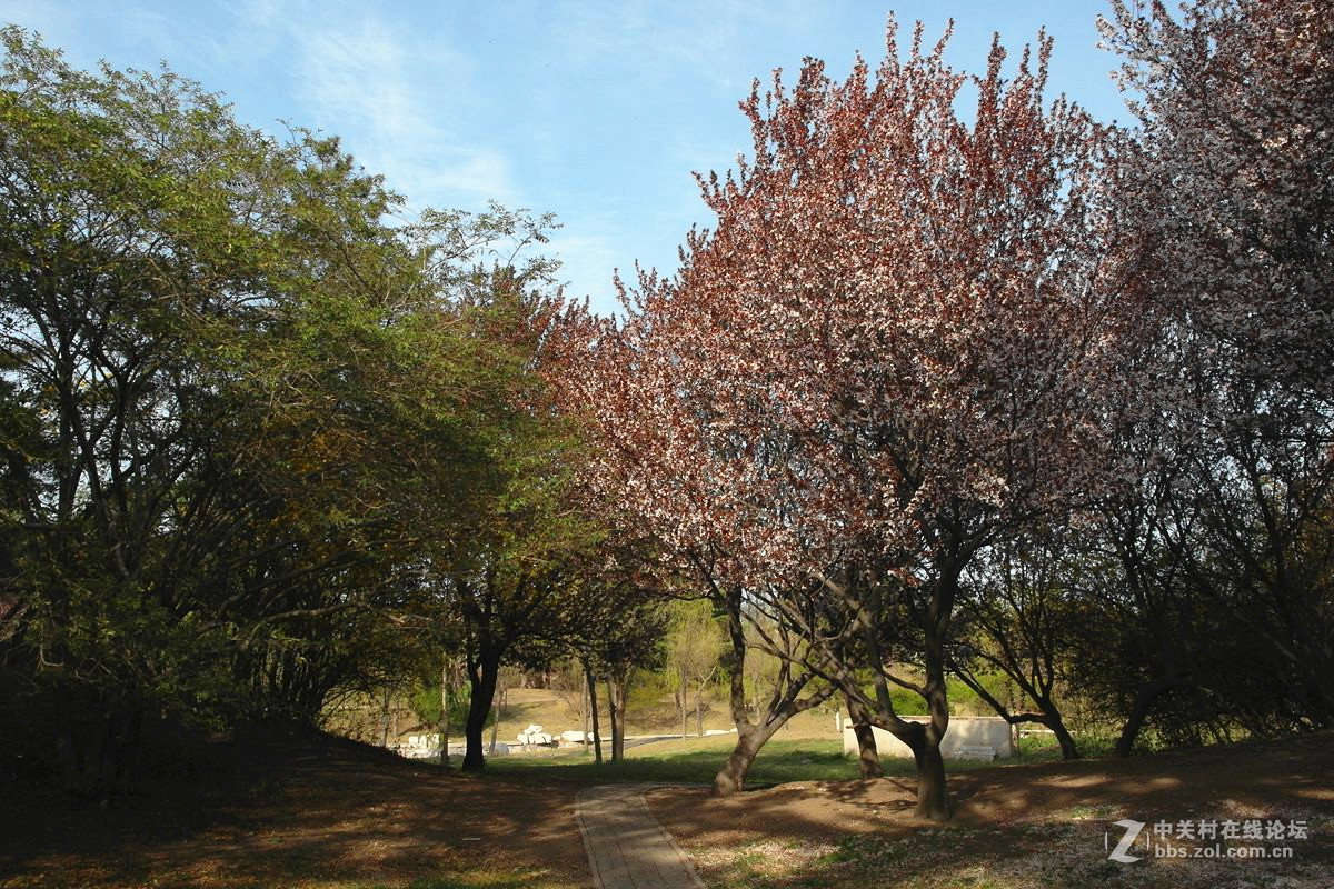 EX1-『春色惹人醉』123...12P