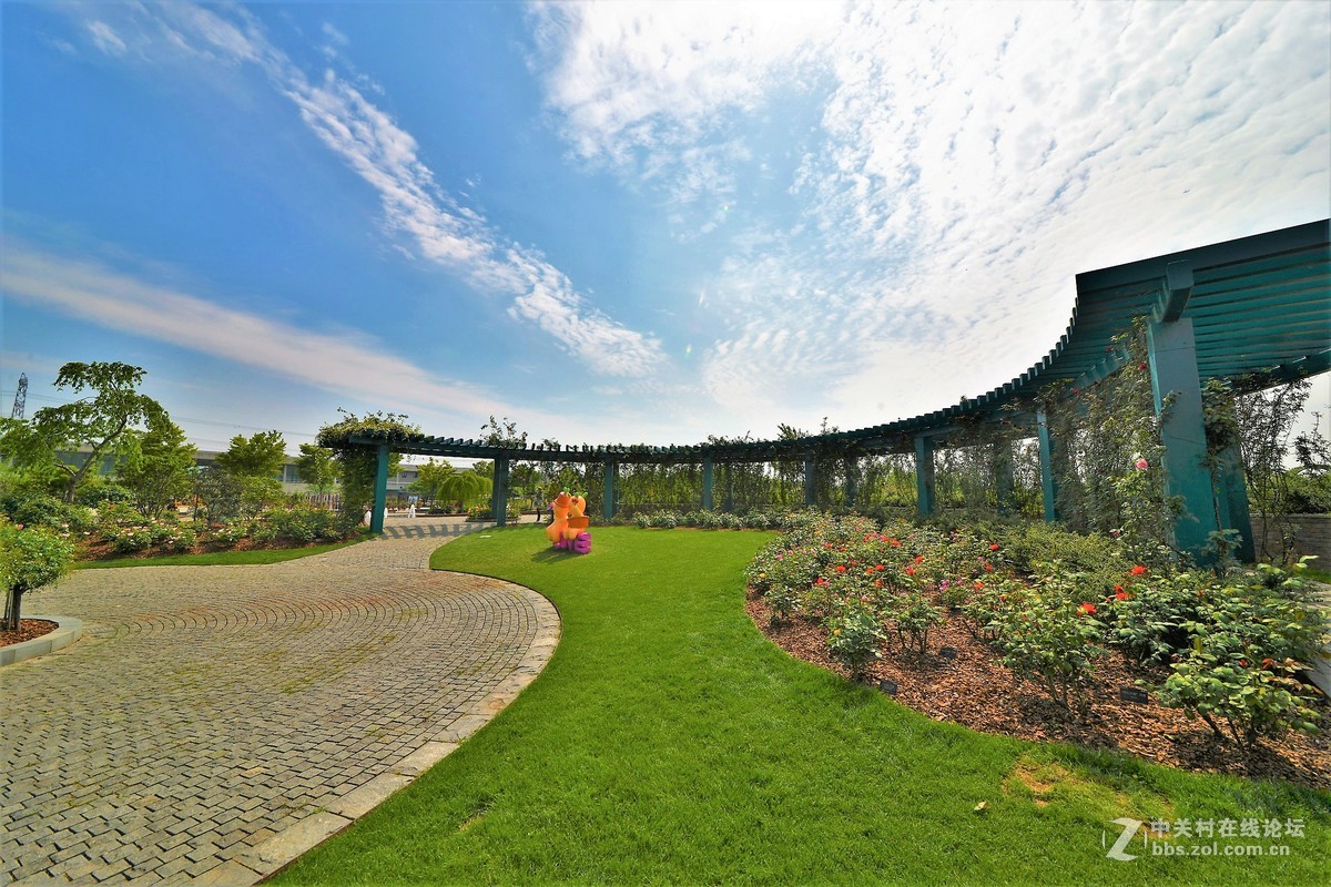 点缀春色 争芳斗妍（2017上海辰山植物园国际月季花展之一）