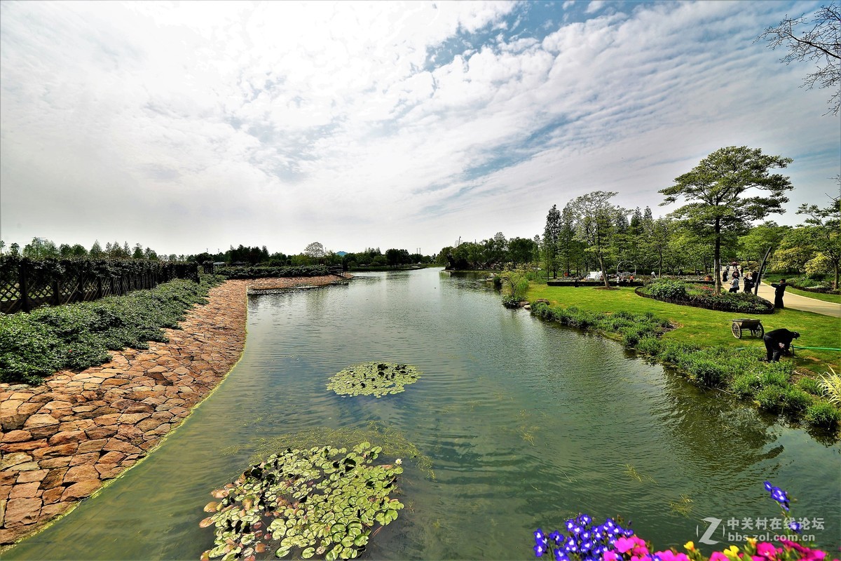 点缀春色 争芳斗妍（2017上海辰山植物园国际月季花展之一）