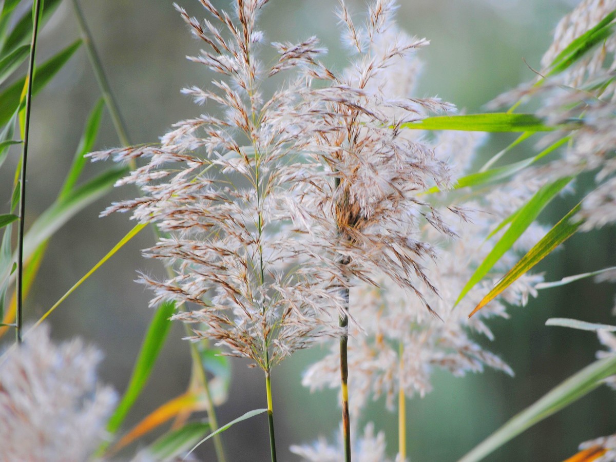 老机拍片；观湖光景色立觉神情气爽身心舒广！