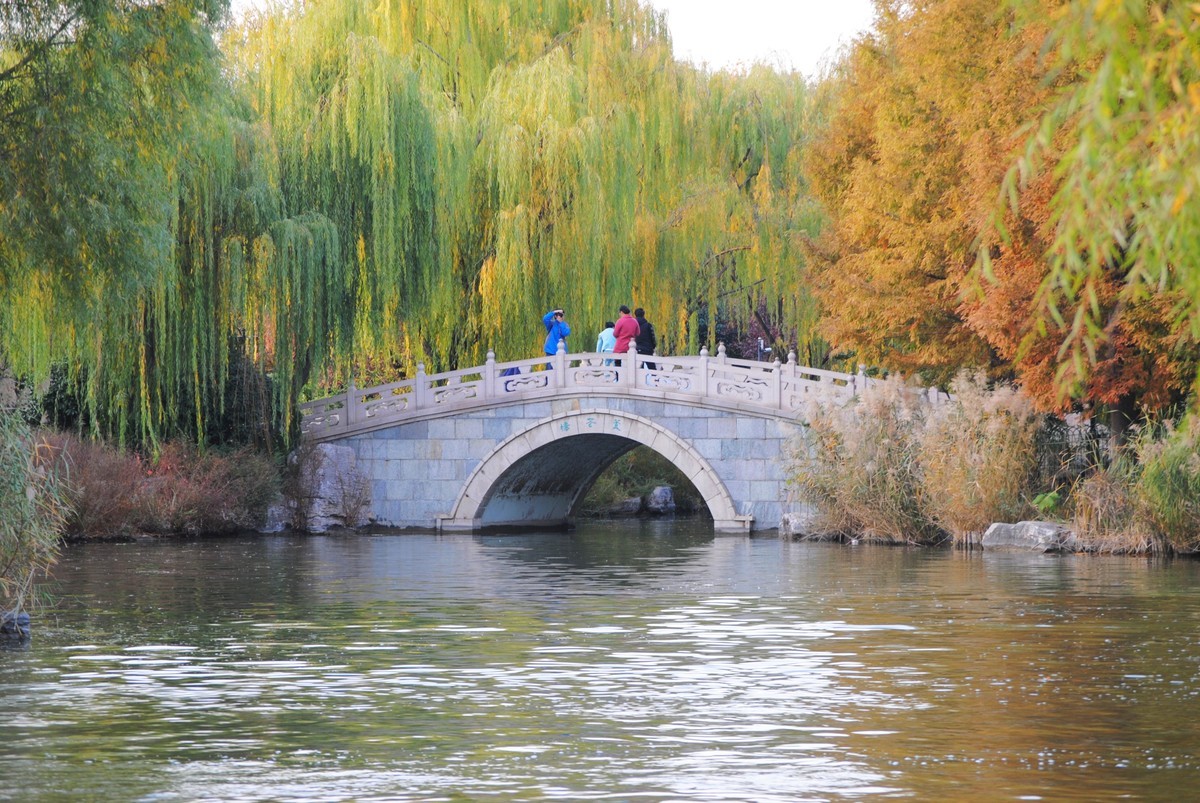 老机拍片；观湖光景色立觉神情气爽身心舒广！