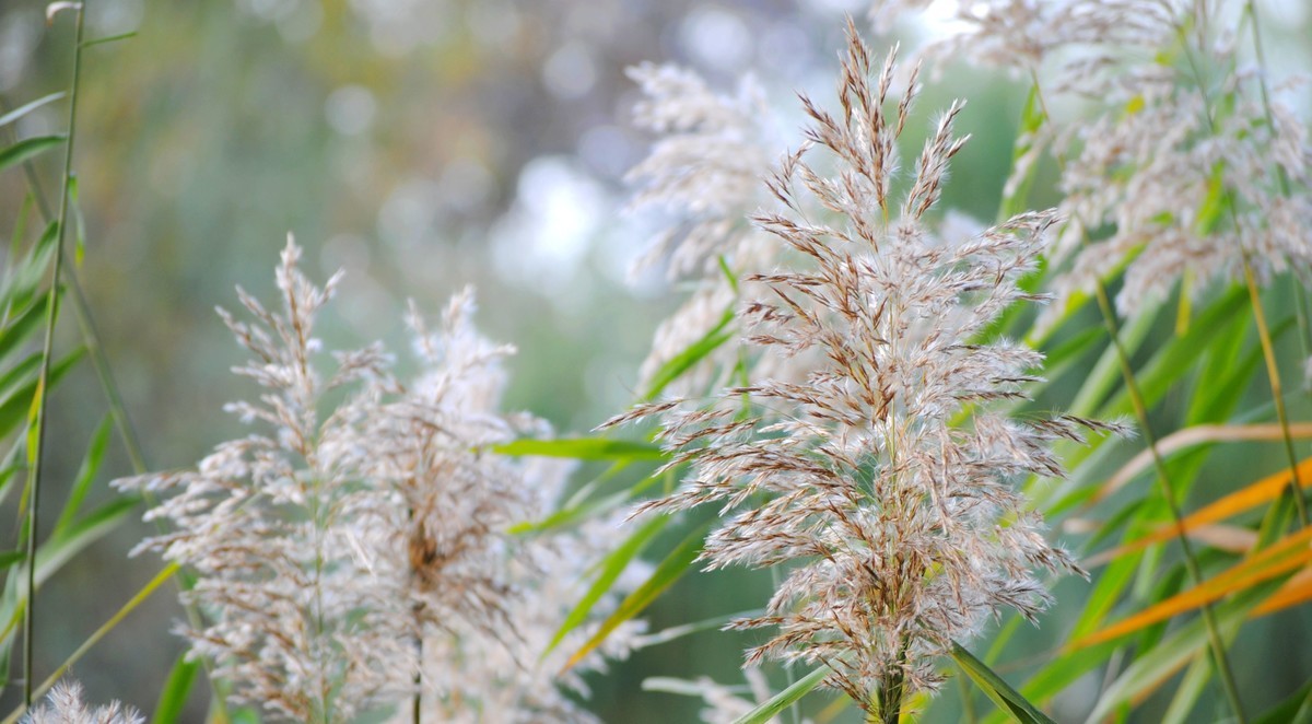 老机拍片；观湖光景色立觉神情气爽身心舒广！