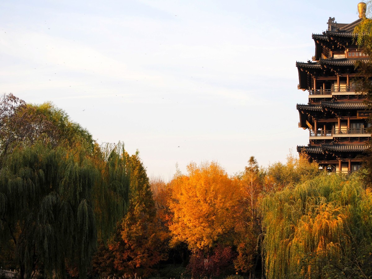 老机拍片；观湖光景色立觉神情气爽身心舒广！