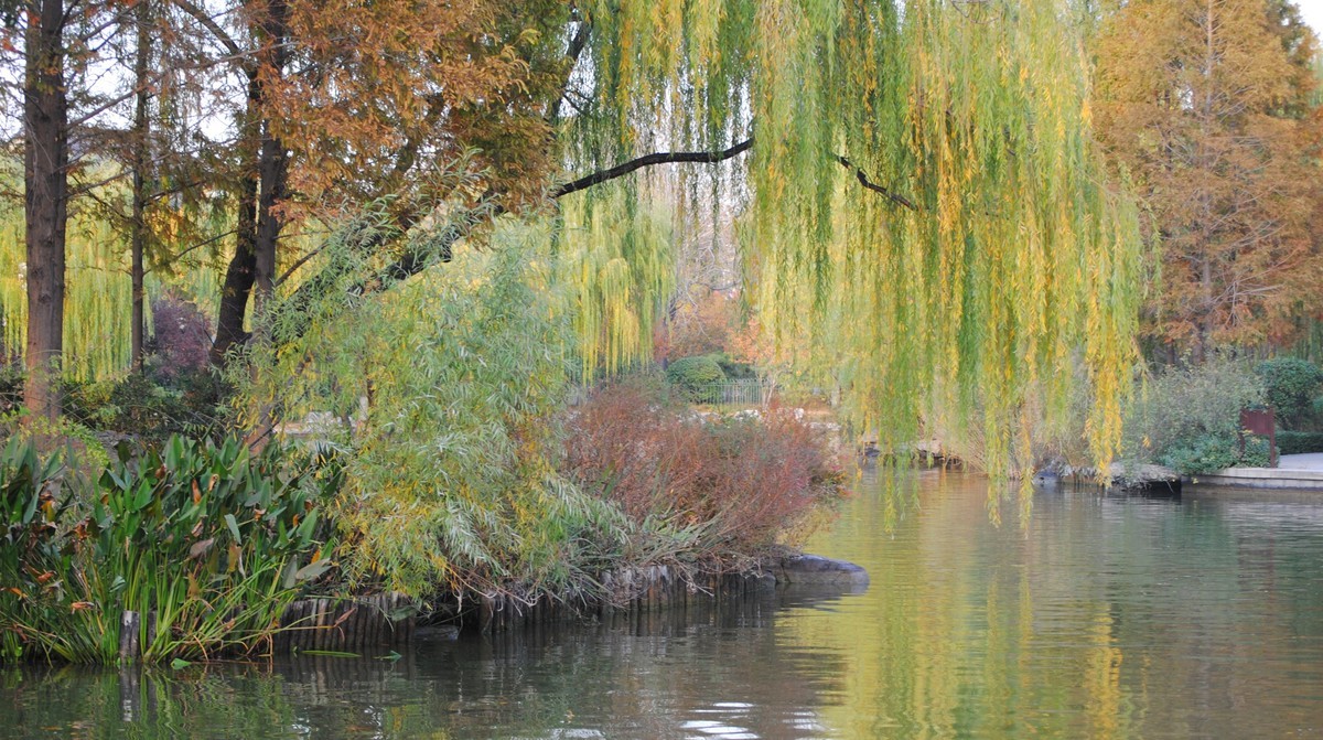 老机拍片；观湖光景色立觉神情气爽身心舒广！