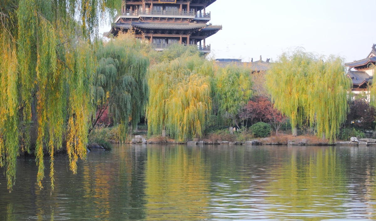 老机拍片；观湖光景色立觉神情气爽身心舒广！