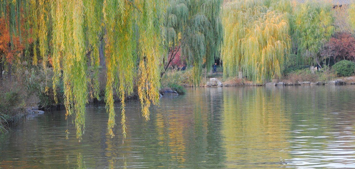 老机拍片；观湖光景色立觉神情气爽身心舒广！