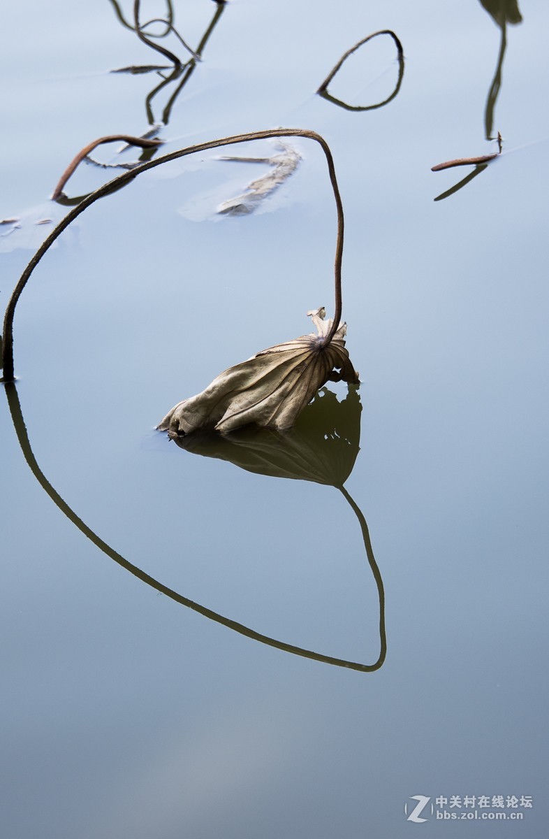 D7200+尼康28—300NEF转JPEG（无后期）